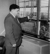 Russell Struble 1943-1951 Math